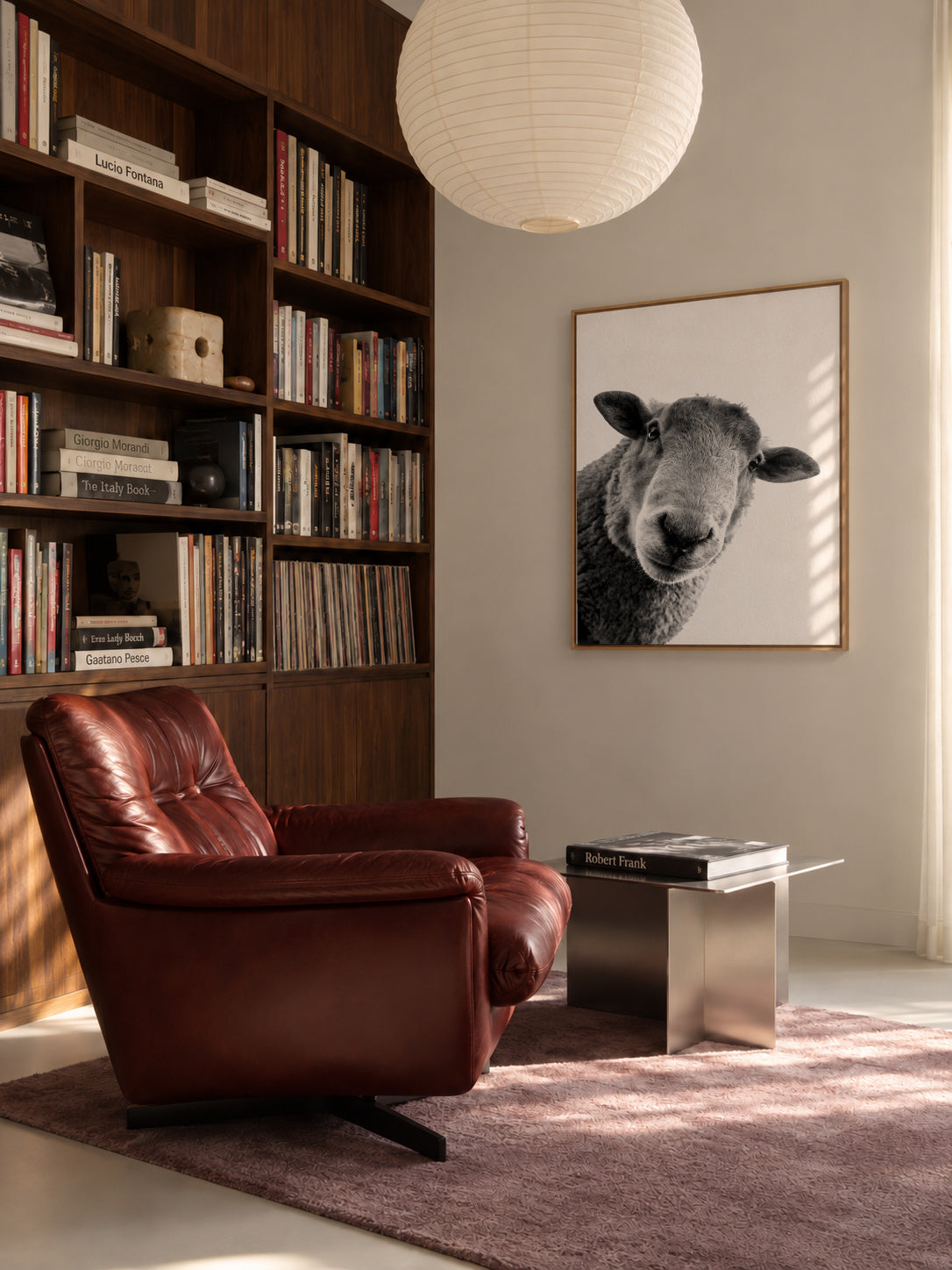 Curious sheep - Lienzo en ambiente