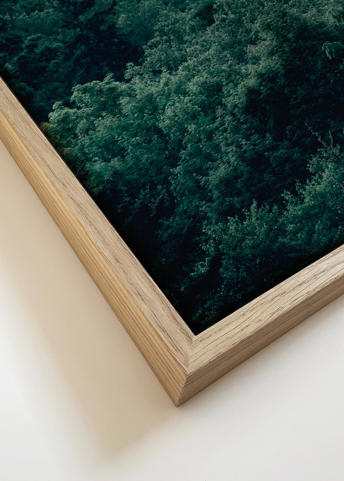 Forest - Framed canvas detail