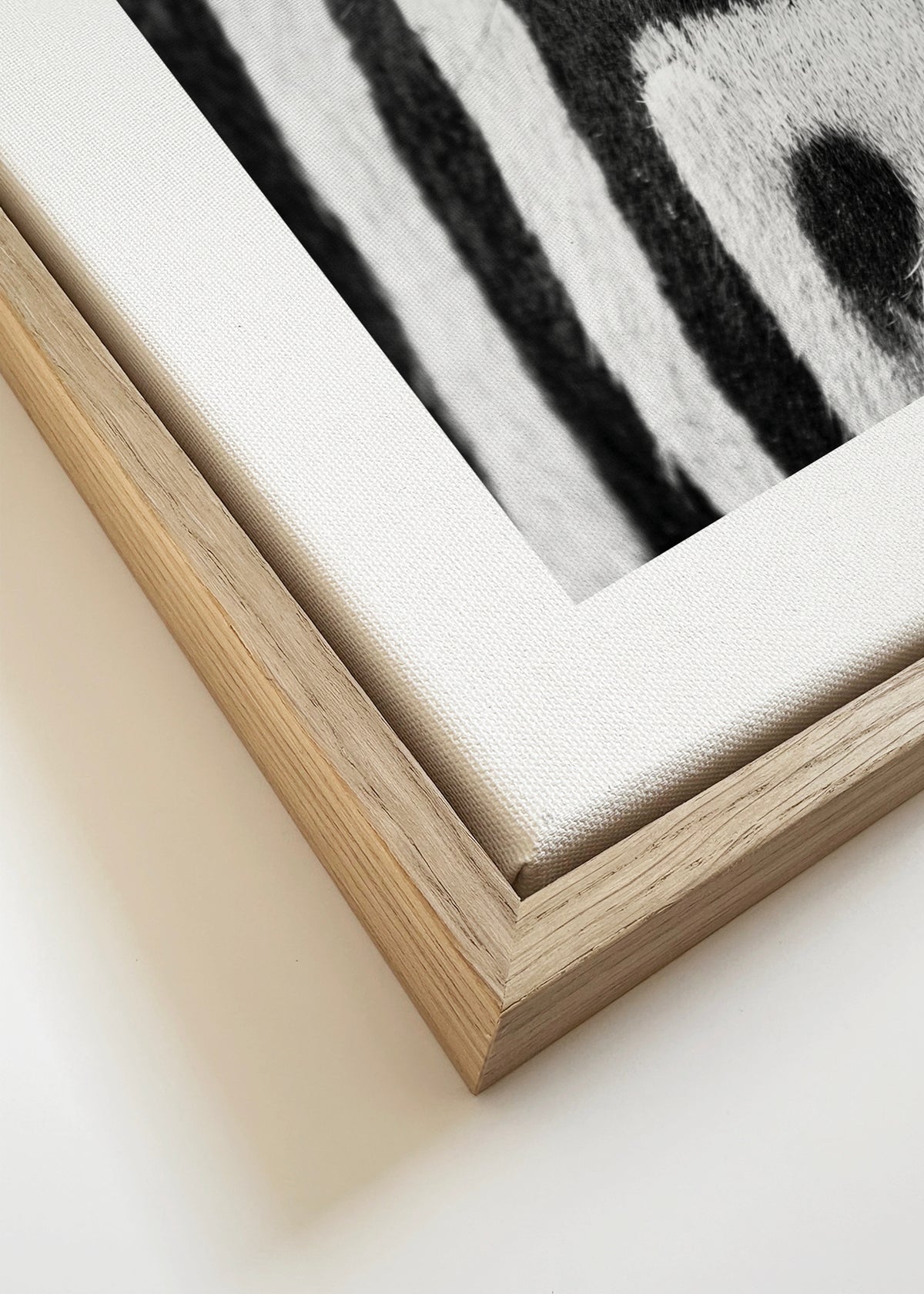 Zebra focus - Framed canvas detail