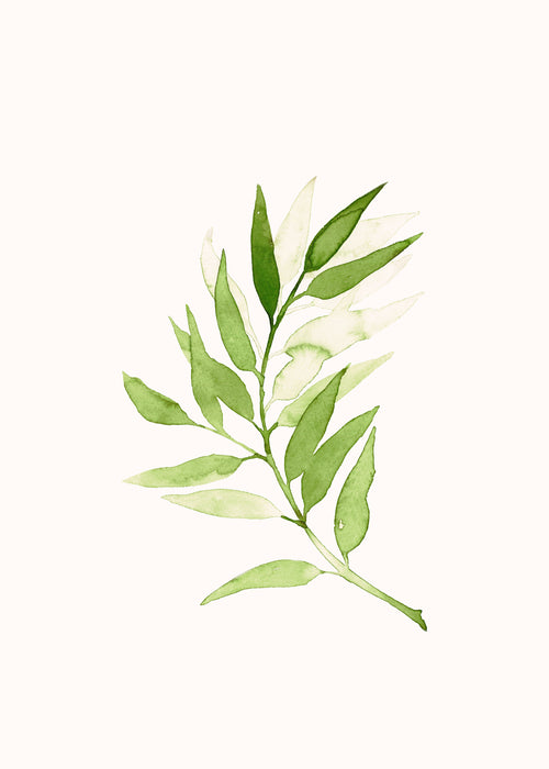 Olive Green Branch - Obra sin marco