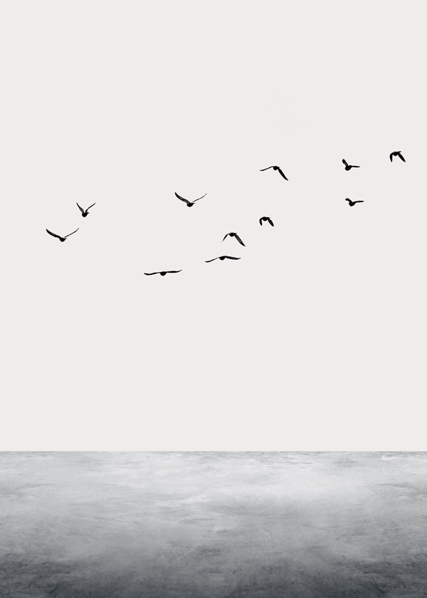 The ocean