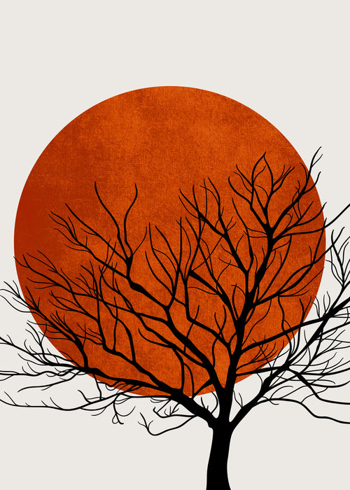 Warm sunset - Unframed art print