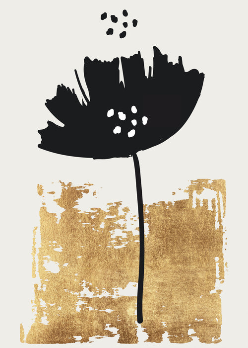 Black Poppy - Unframed art print