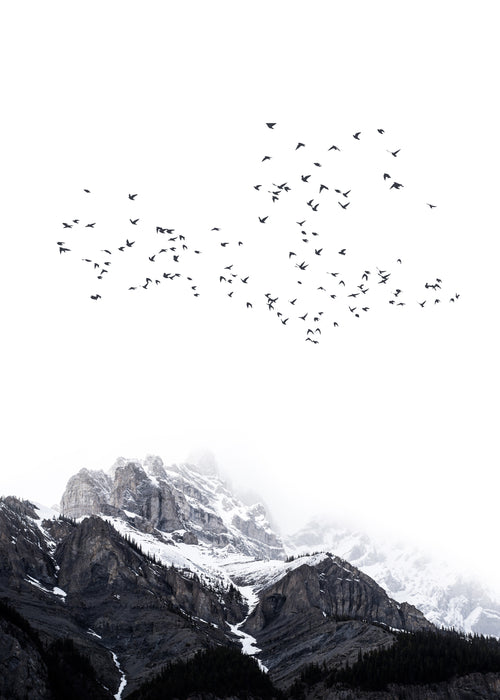 The mountain - Unframed art print