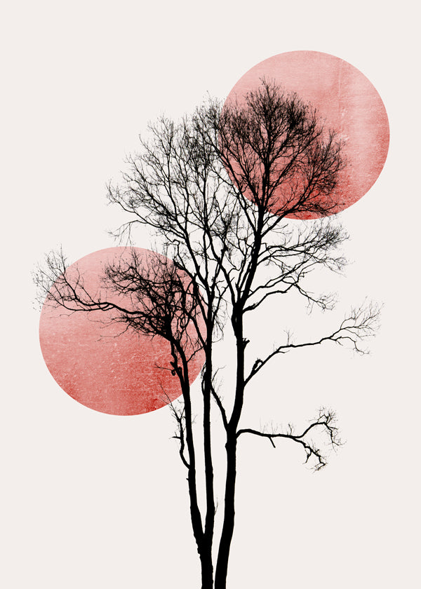Sun and moon hiding - rosè
