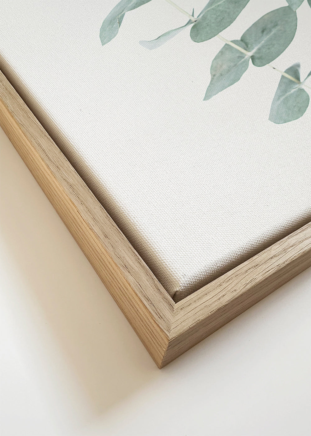 Eucalyptus I