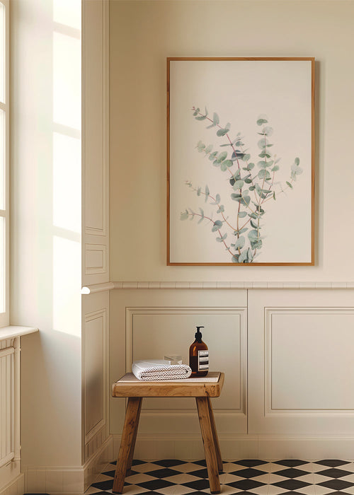 Eucalyptus Branch