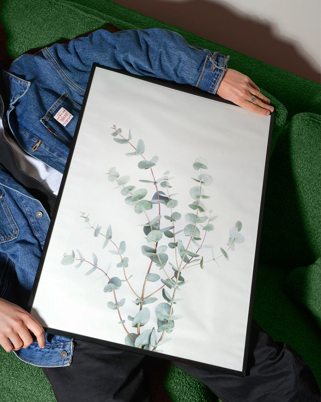 Eucalyptus Branch - Framed poster detail