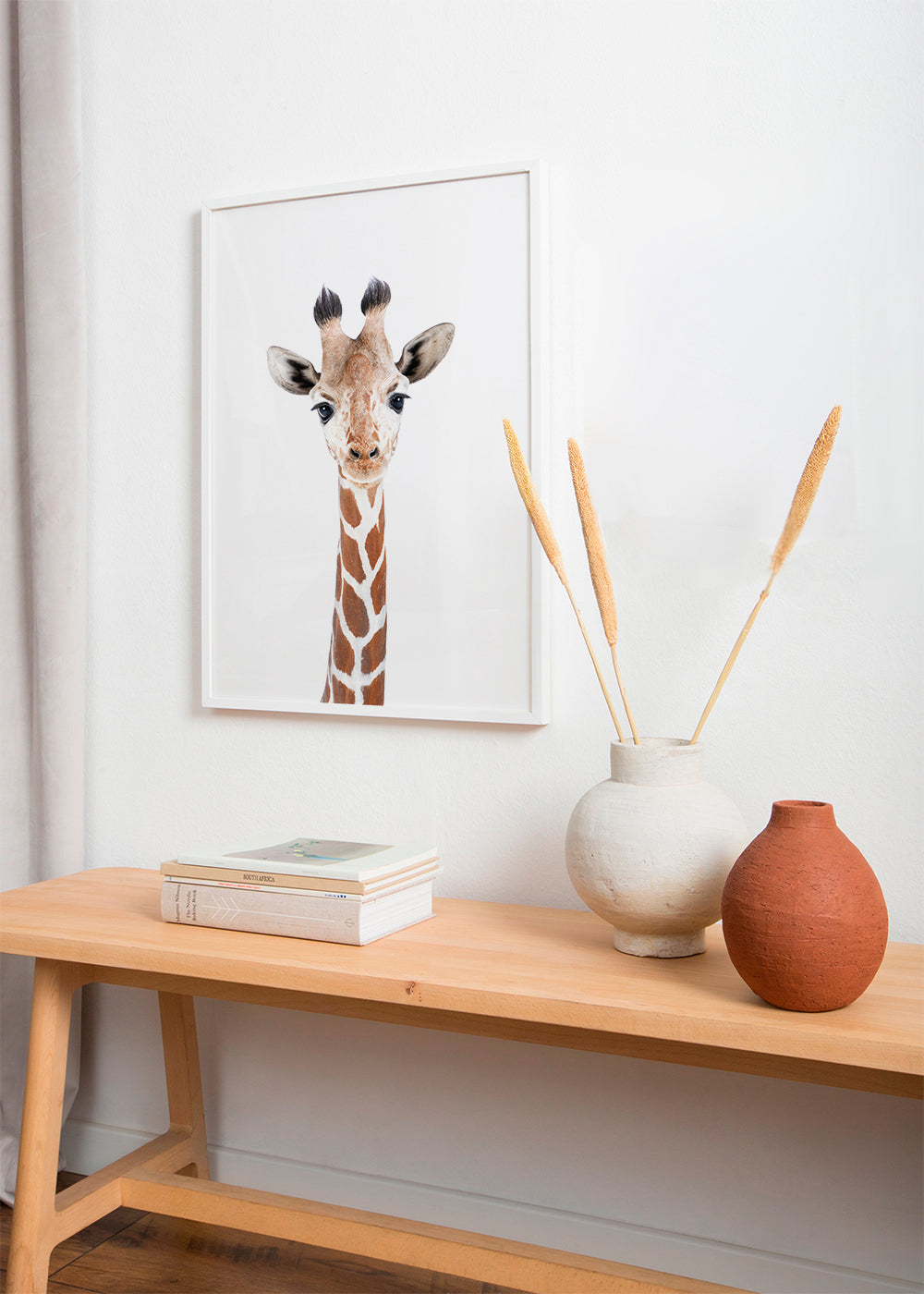 Baby Giraffe
