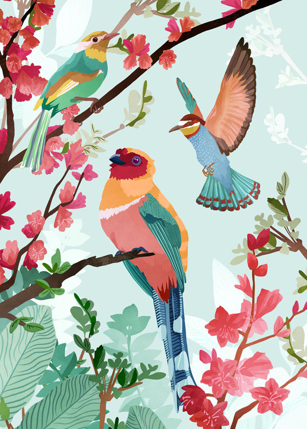 Birds of summer