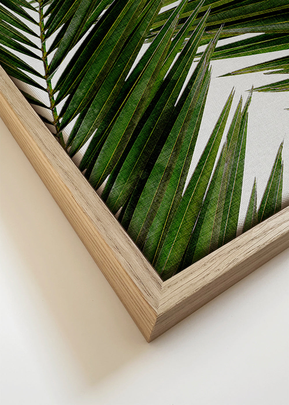 Palm Leaf III