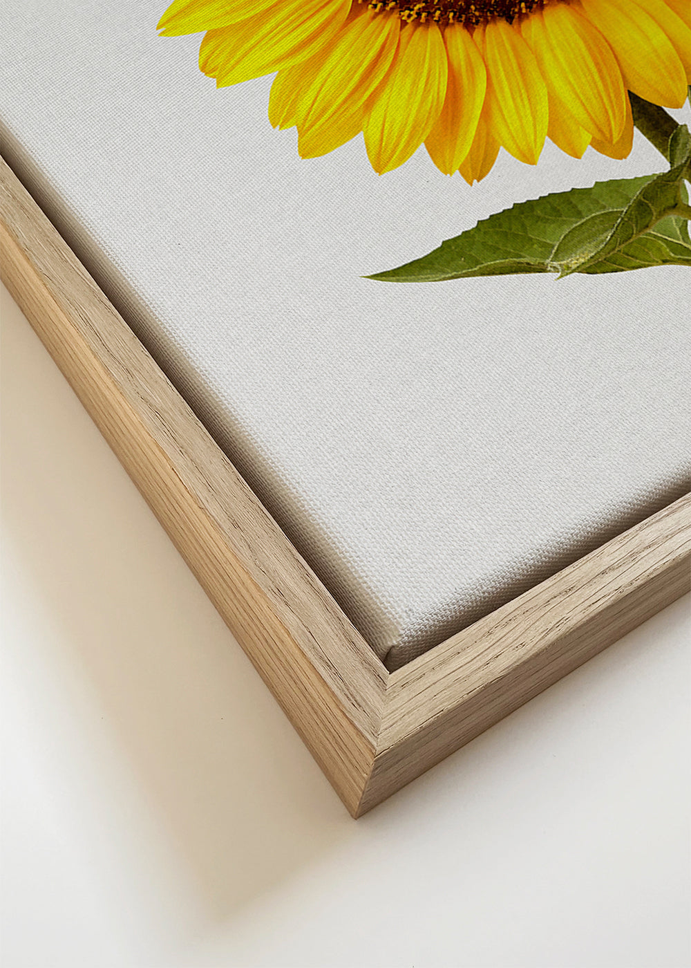 Sunflower still life
