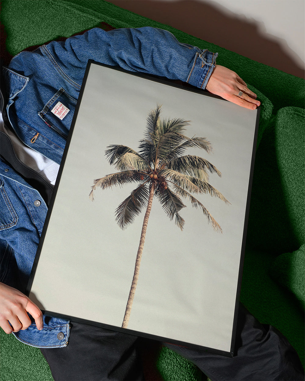 Palm tree by the beach