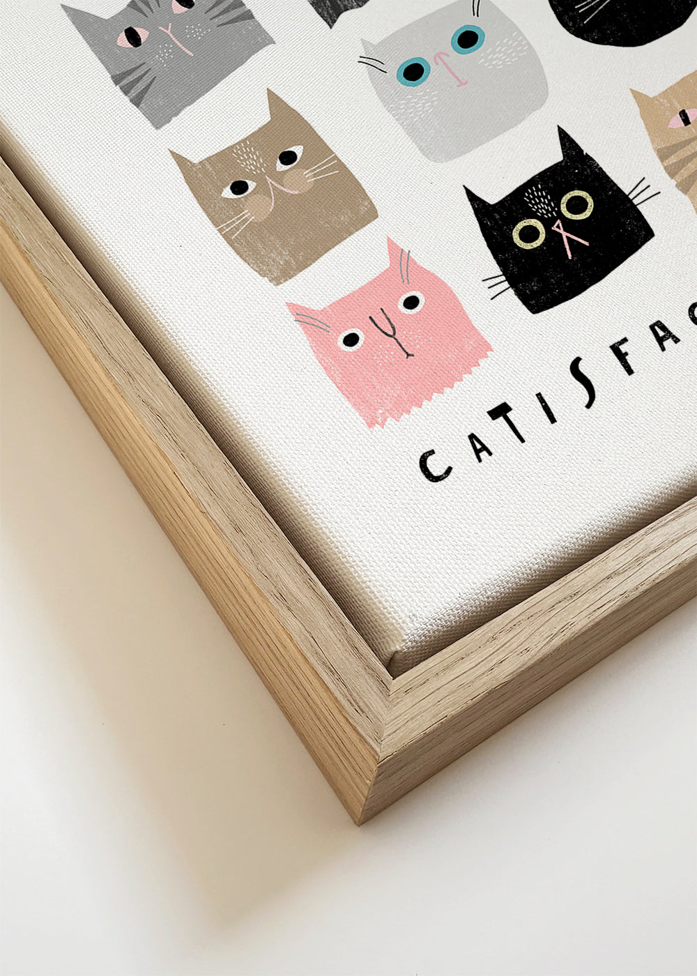 Catisfaction 1