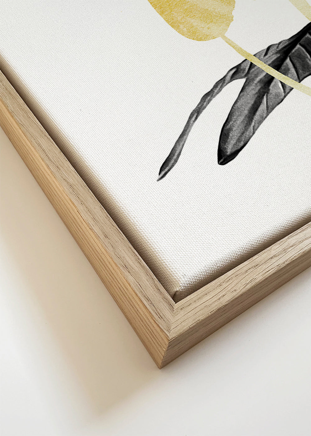 Bird of Paradise Plant Black, White and Gold 01