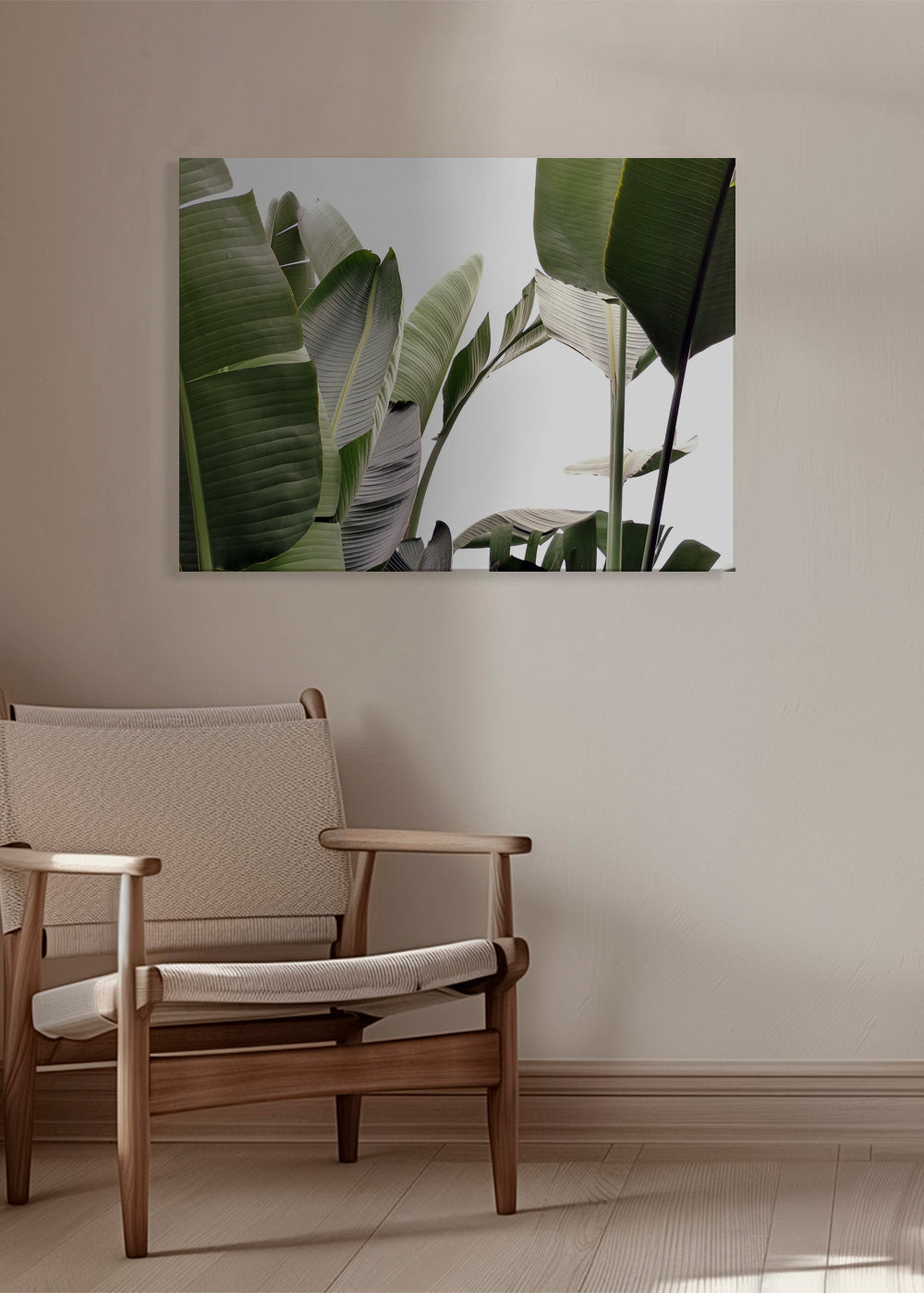 Travellers Palm Leaves 01