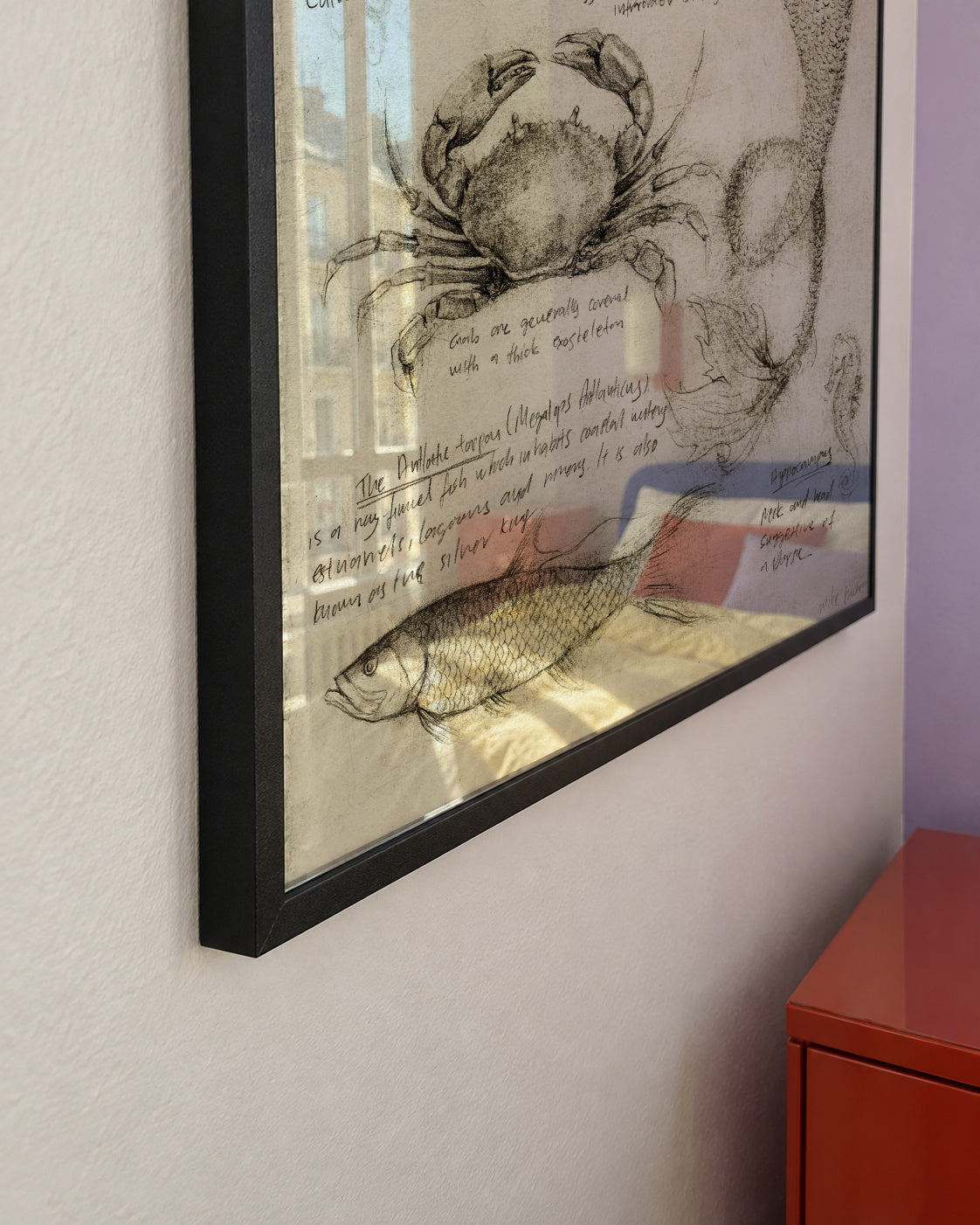 Sea Animals - Framed poster detail