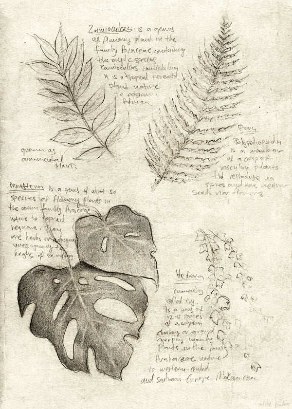 Plants