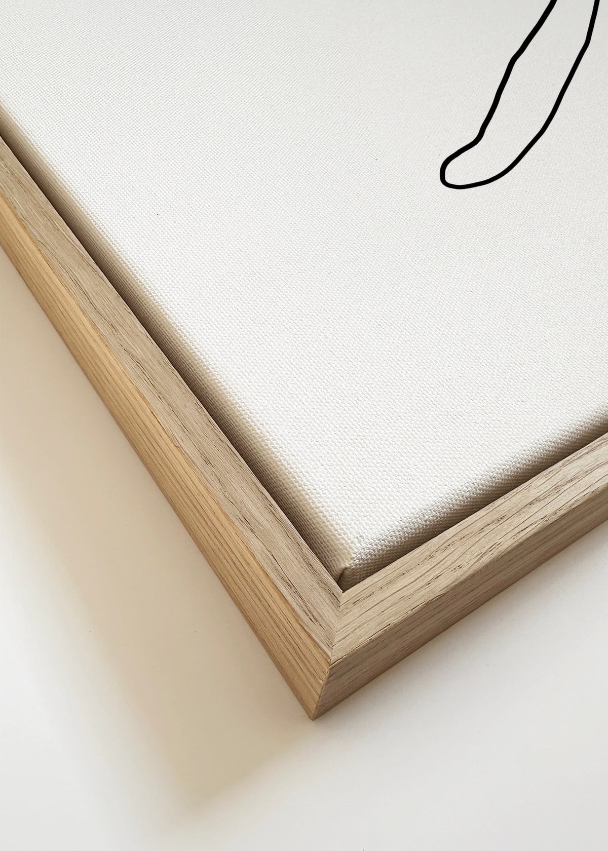 Cat Line No.2 - Framed canvas detail