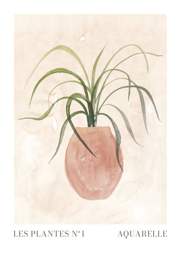Les plantes Nº1