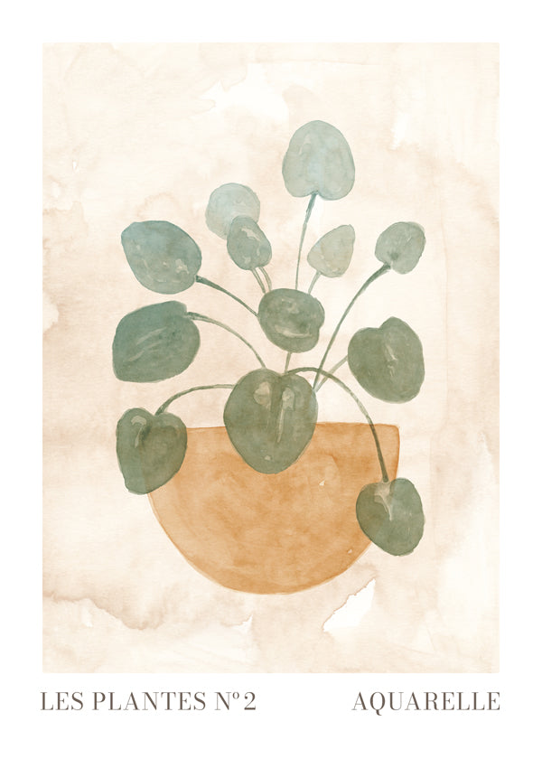 Les plantes Nº2