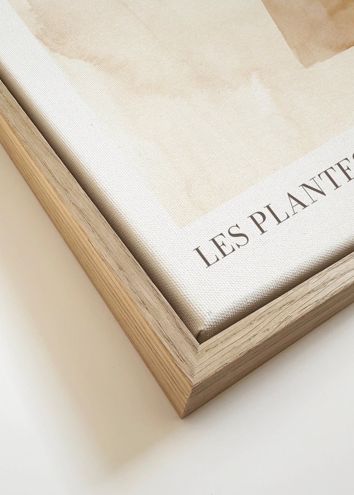 Les plantes Nº4 - Framed canvas detail