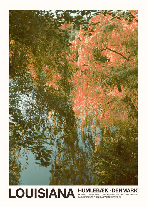 Louisiana - The Lake - Unframed art print