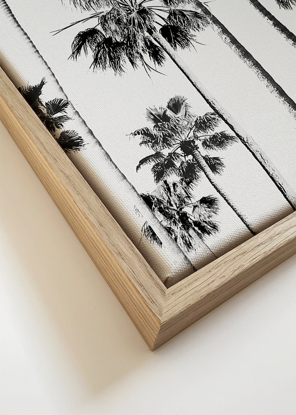 Black And White Palms 3