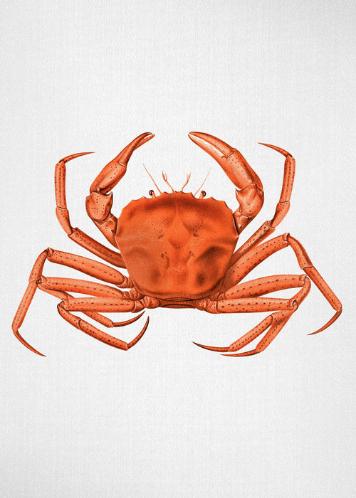 Watercolor Crab - Unframed art print