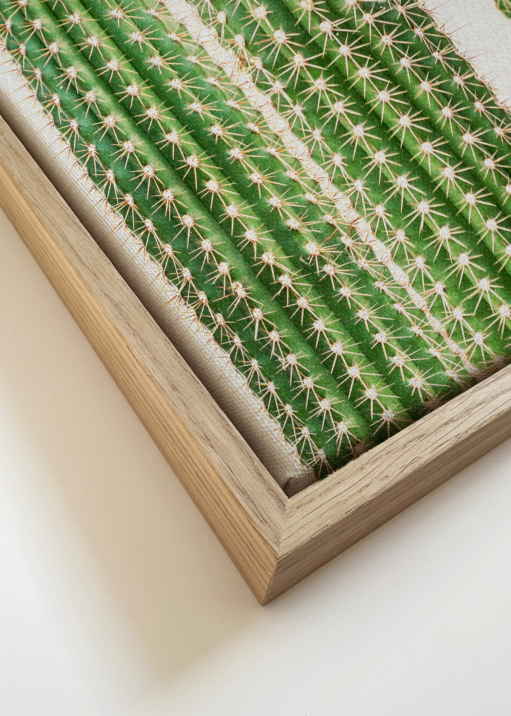 Cactus 2 - Framed canvas detail