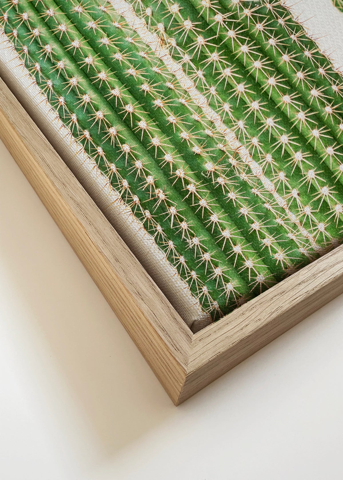 Cactus 2 - Framed canvas detail