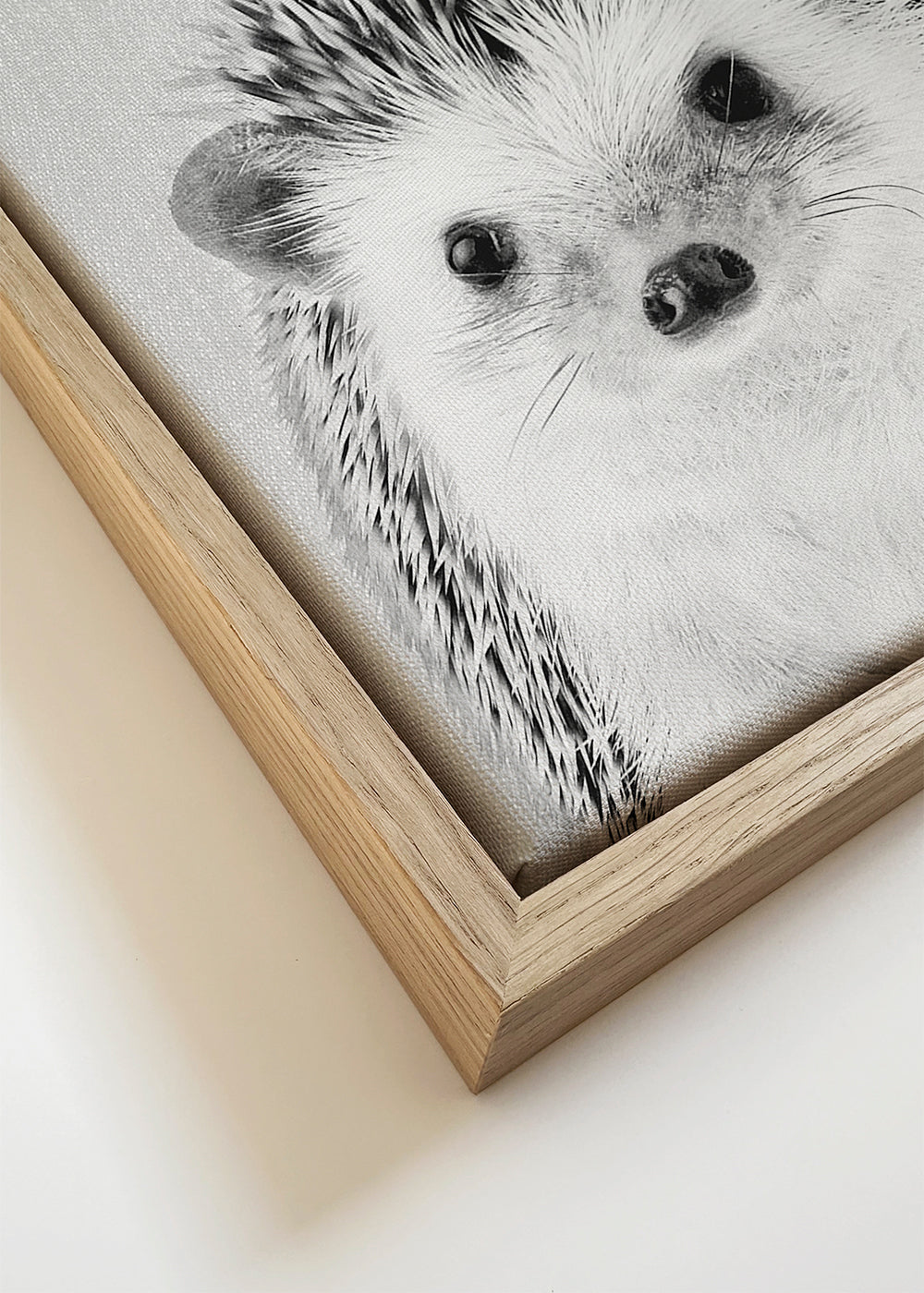 Hedgehog - Black & White
