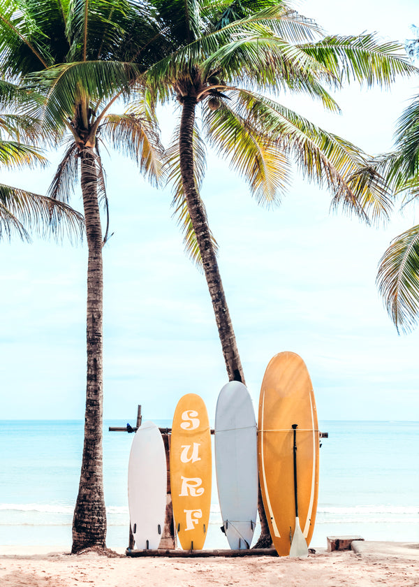 Choose Your Surfboard
