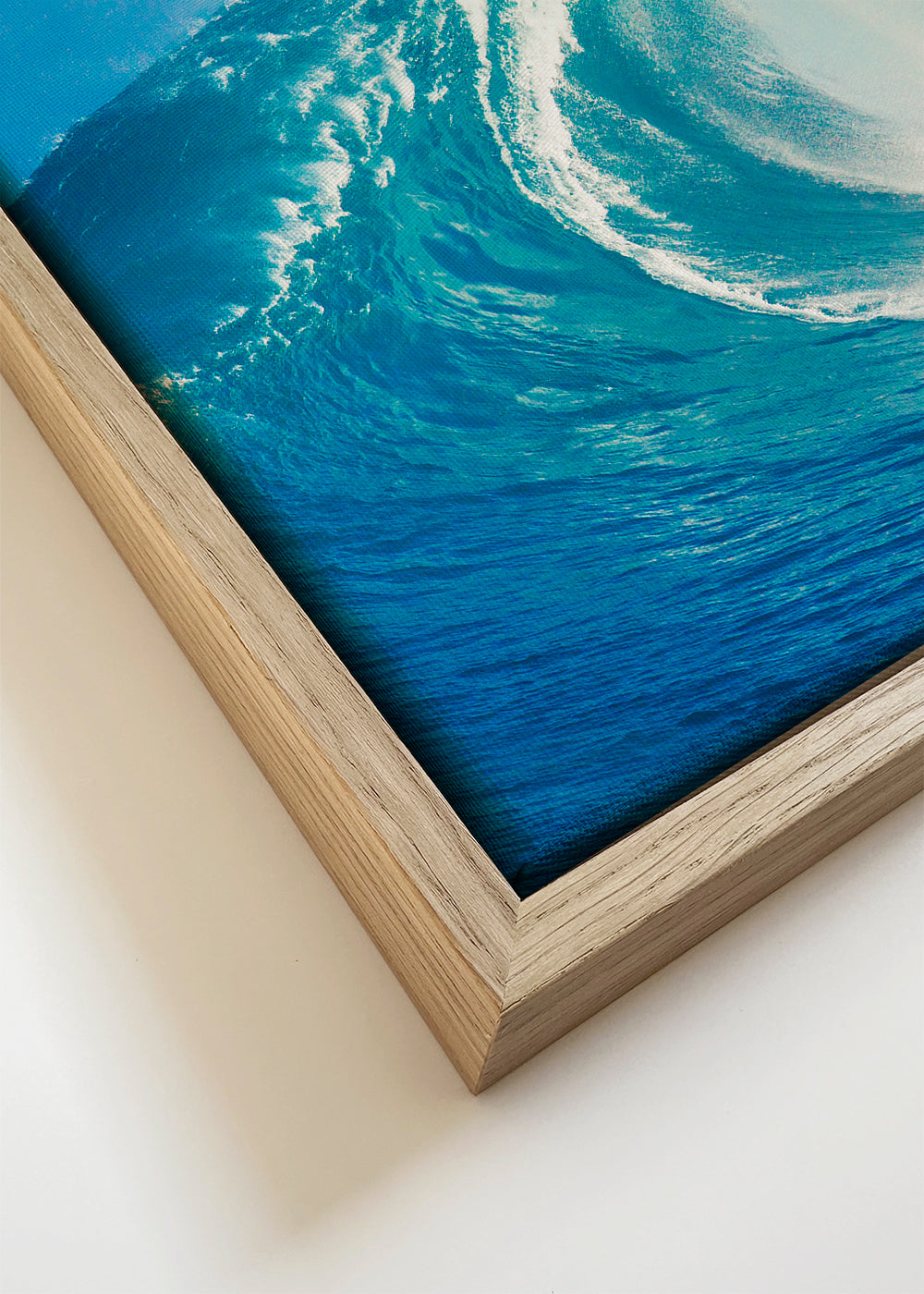 Wild Surf