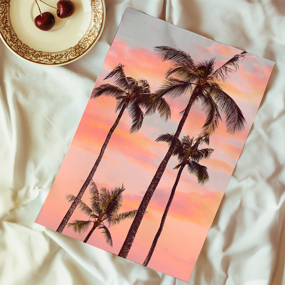Sunset Palm Trees