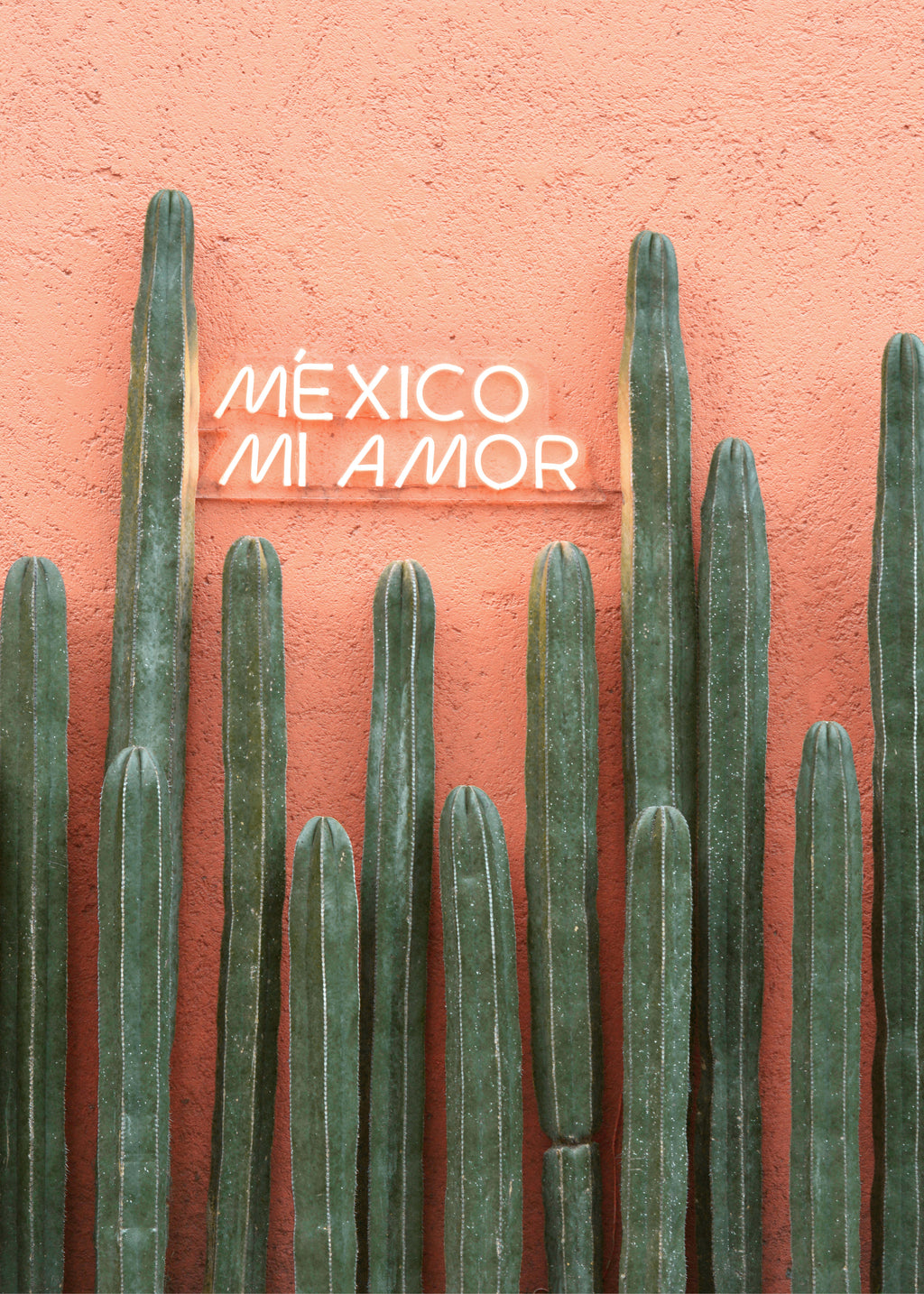 Mexico Mi Amor - Unframed art print
