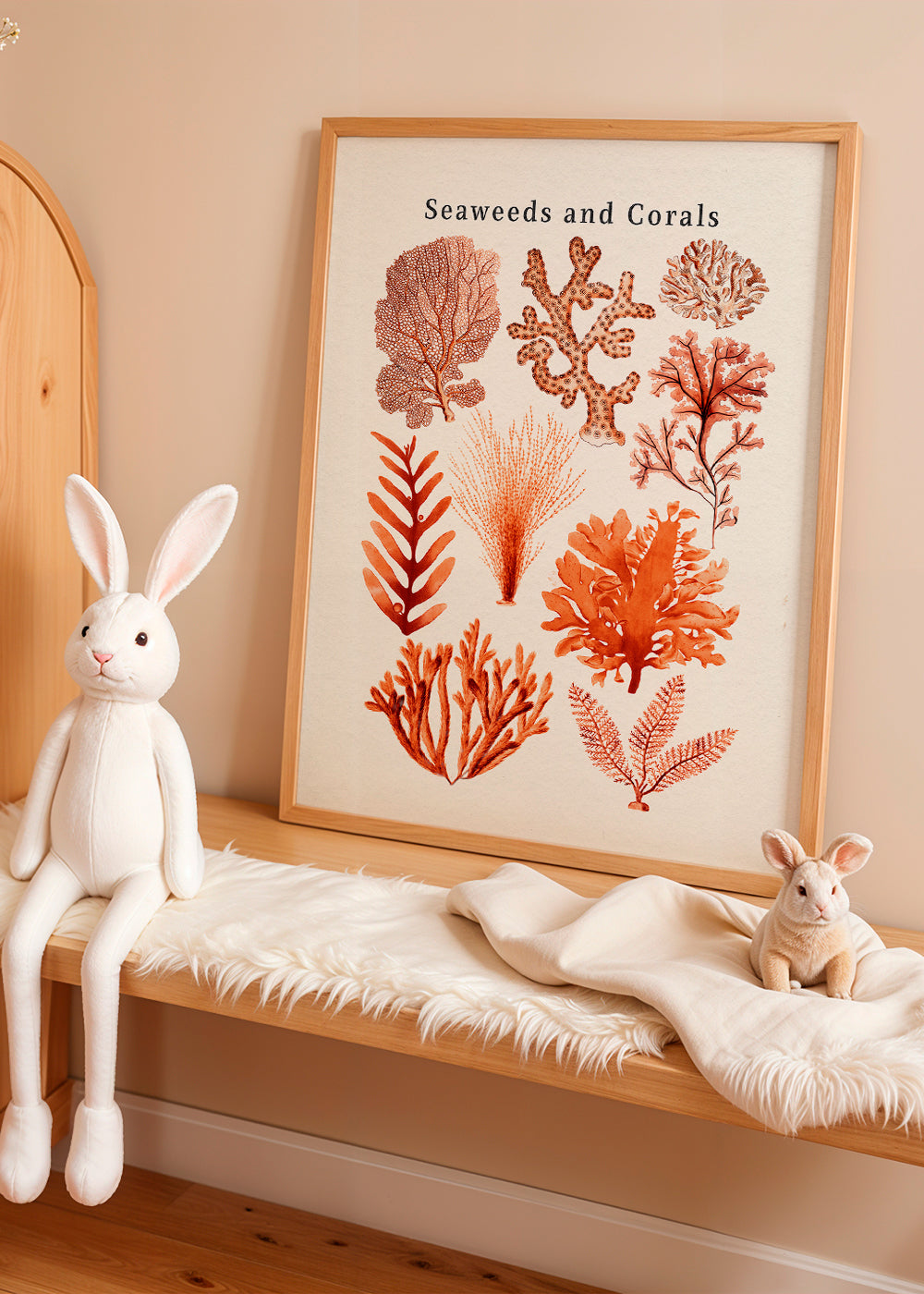 Seaweed & Corals Collection
