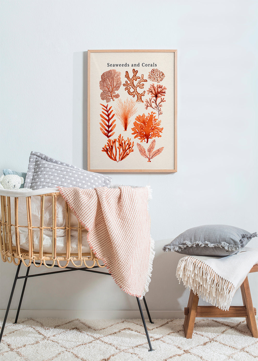 Seaweed & Corals Collection