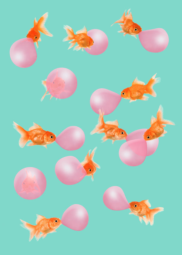 Bubblegum Goldfish