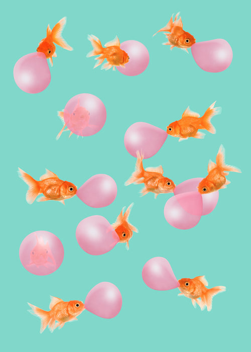 Bubblegum Goldfish - Unframed art print