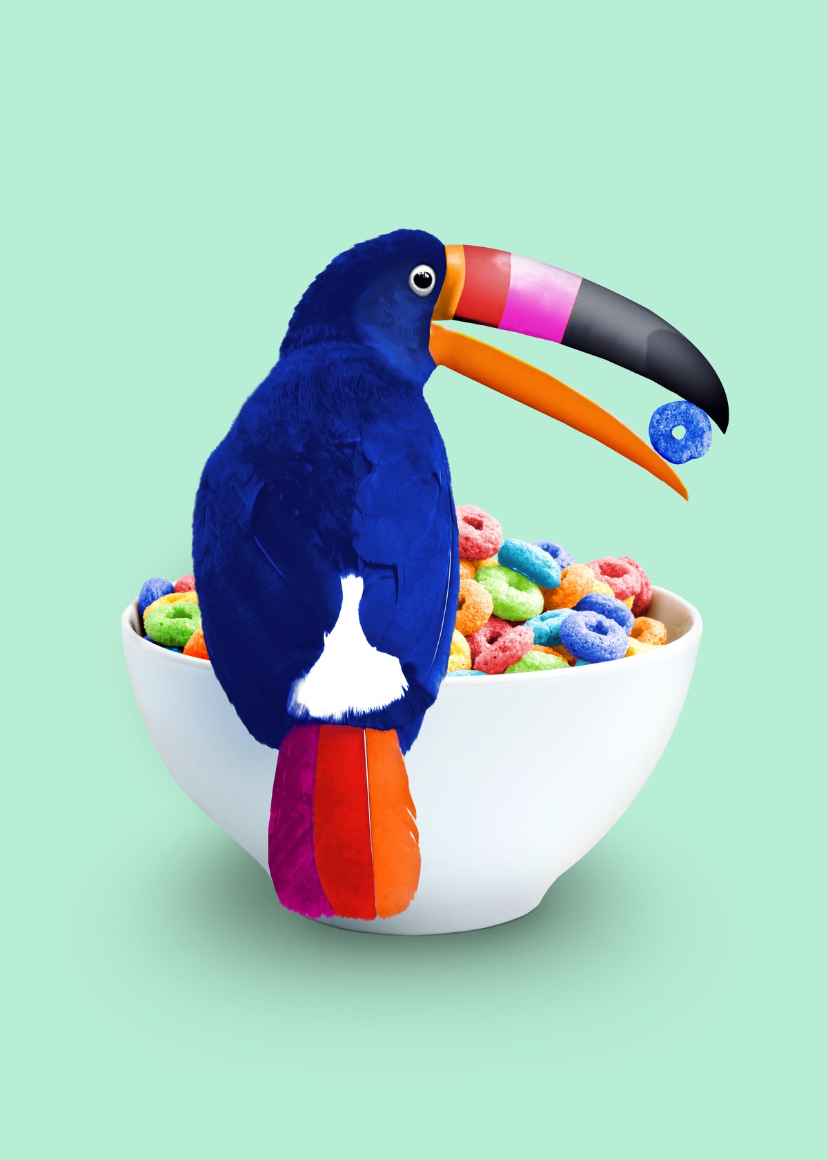 Cereal Toucan - Unframed art print