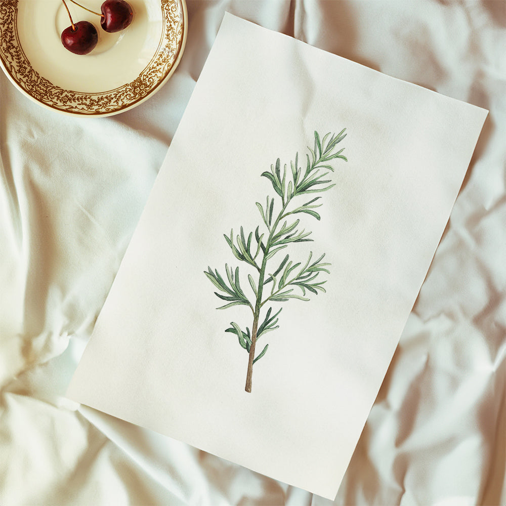 Rosemary Branch