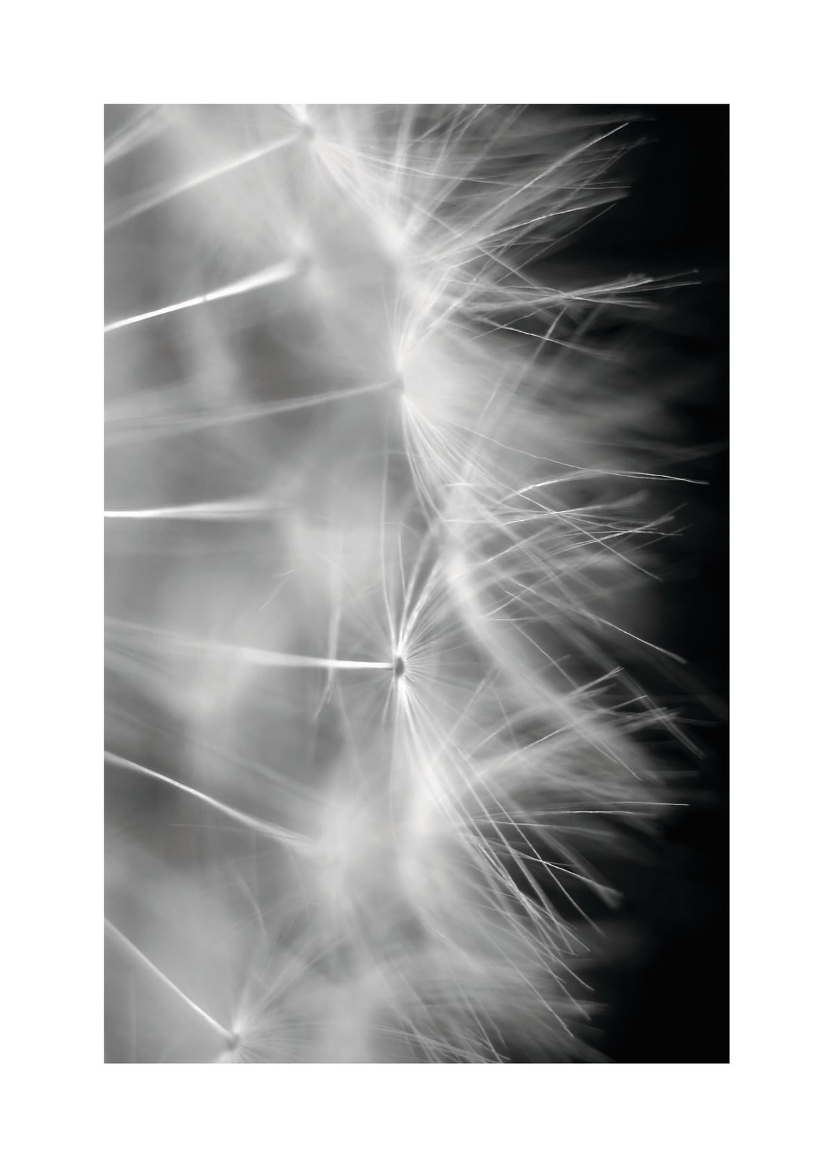 Blow it - Unframed art print