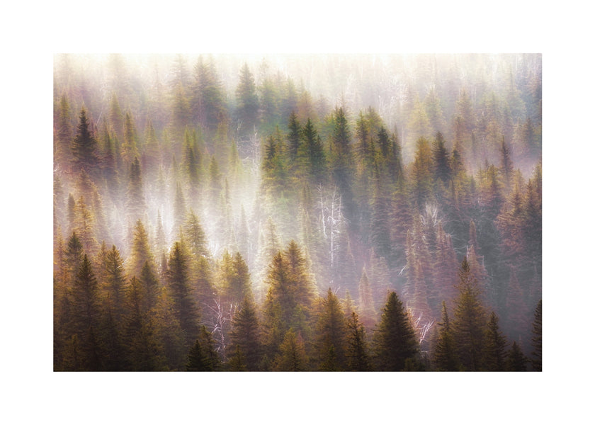 Untitled 2