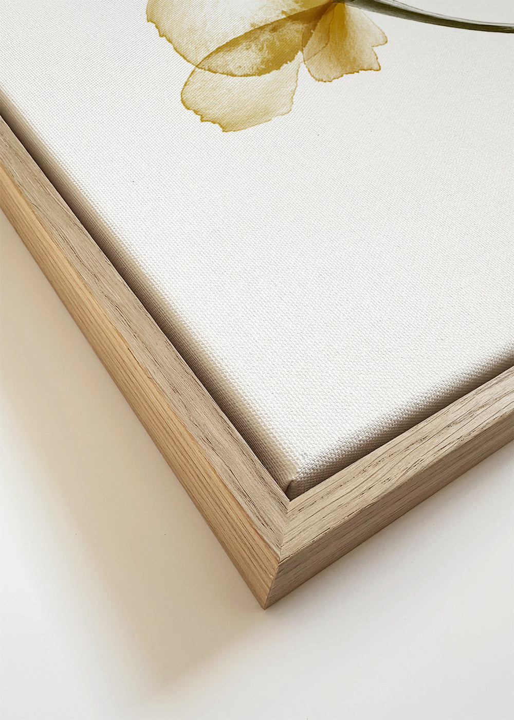 Pressed Flowers