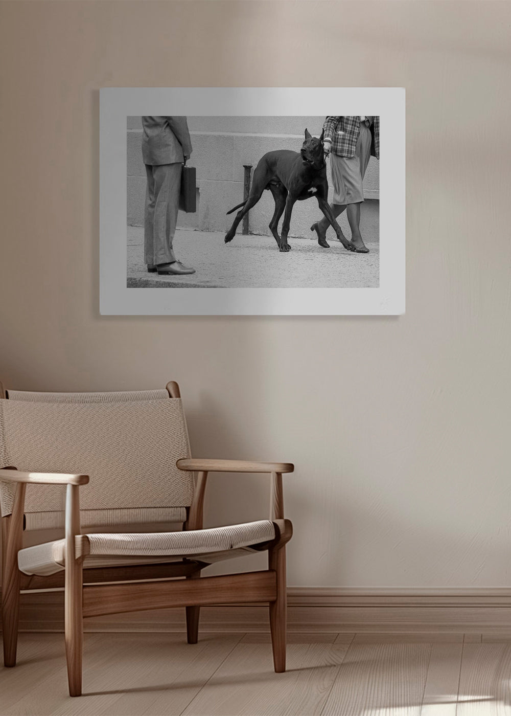 Great dane bodyguard