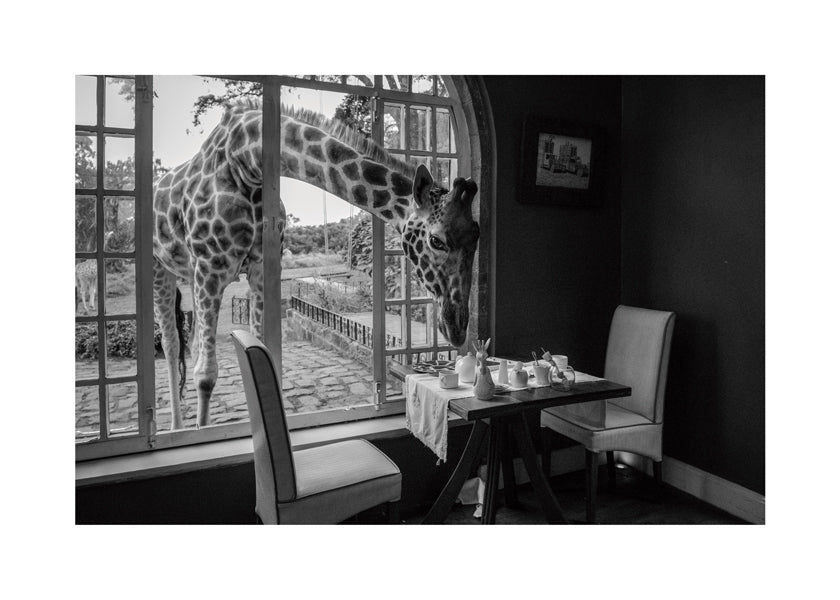 Breakfast time