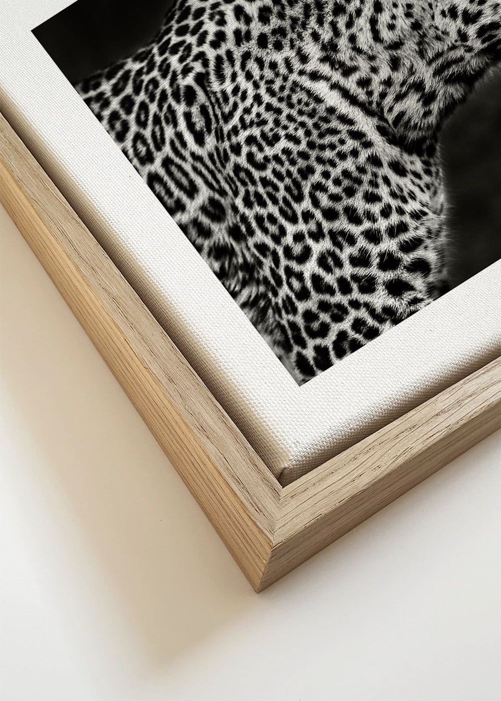 Leopard Close Up