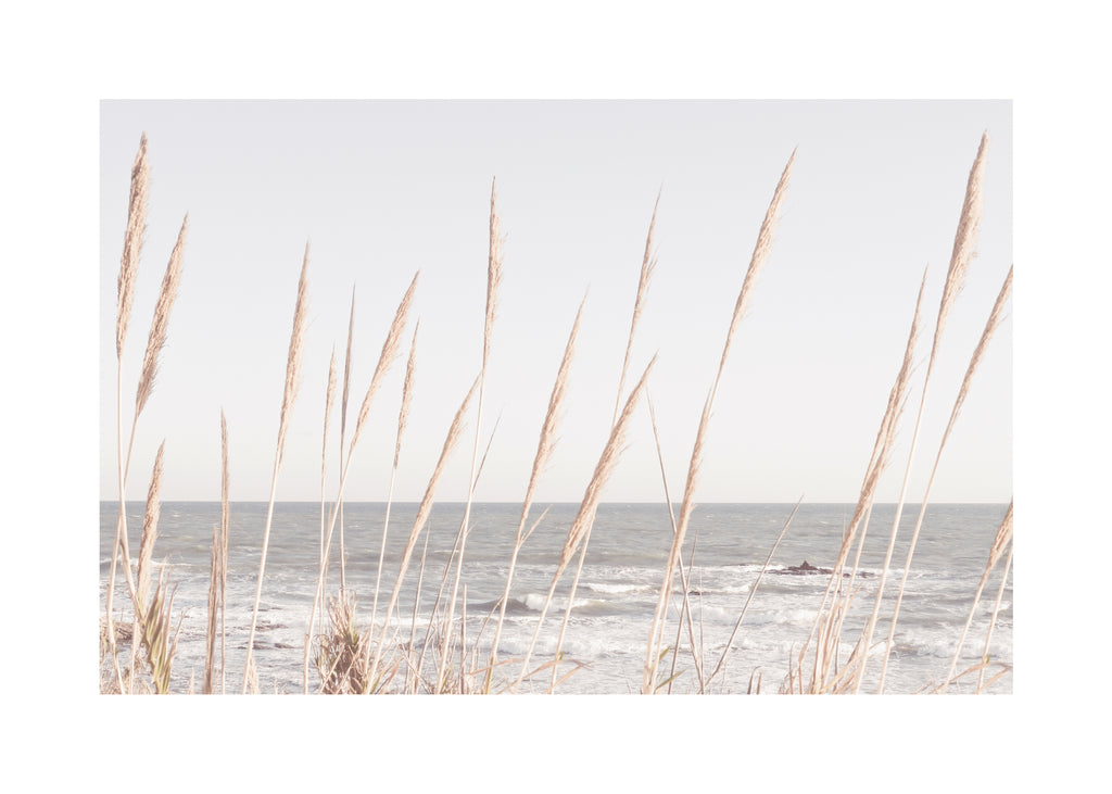 Beach Vass II - Unframed art print