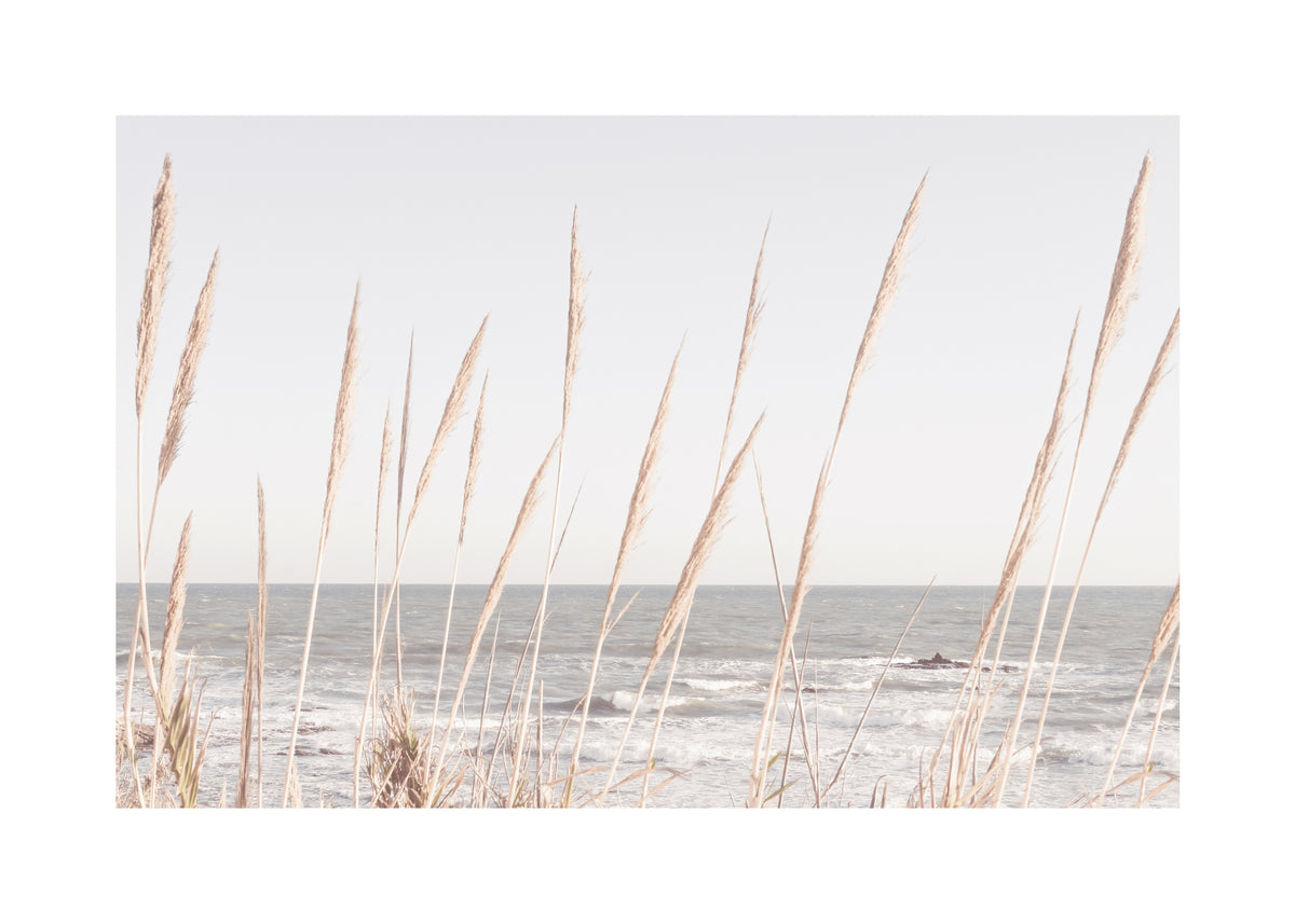 Beach Vass II - Unframed art print